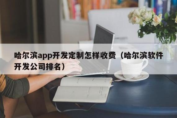 哈尔滨app开发定制怎样收费(哈尔滨软件开发公司排名) - 河南粤顺大利